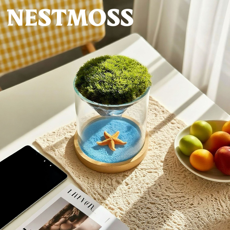 Γυάλινο βάζο με μίνι τοπίο από βρύα για γραφείο, γυαλί υψηλής αντοχής, μάρκα Independent, δώρο επιχειρήσεων