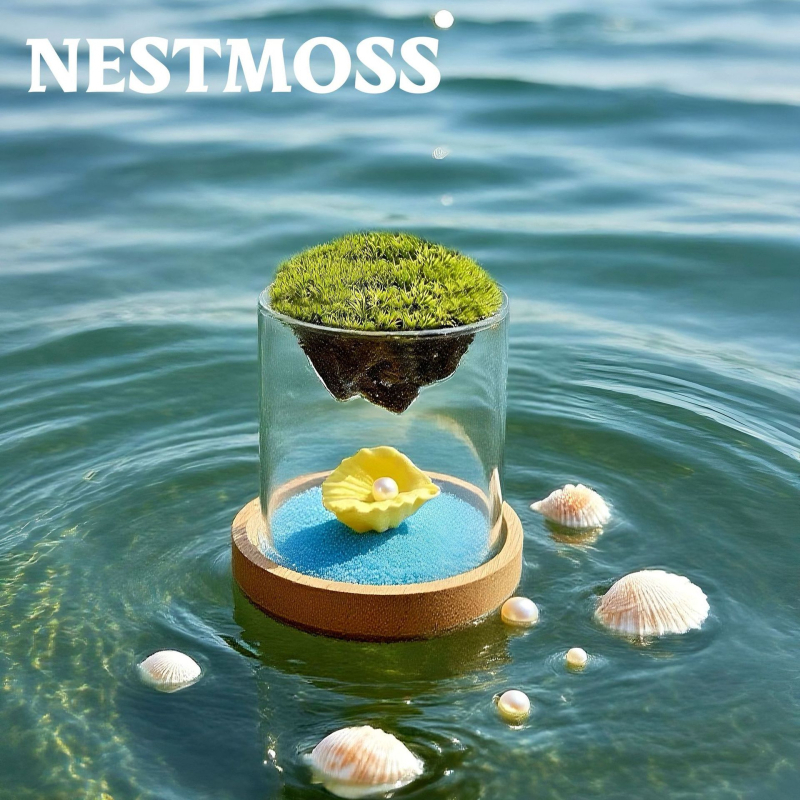 Γυάλινο βάζο με μίνι τοπίο από βρύα για γραφείο, γυαλί υψηλής αντοχής, μάρκα Independent, δώρο επιχειρήσεων