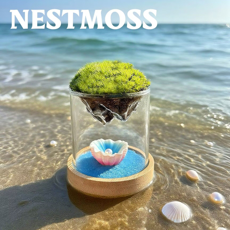 Γυάλινο βάζο με μίνι τοπίο από βρύα για γραφείο, γυαλί υψηλής αντοχής, μάρκα Independent, δώρο επιχειρήσεων