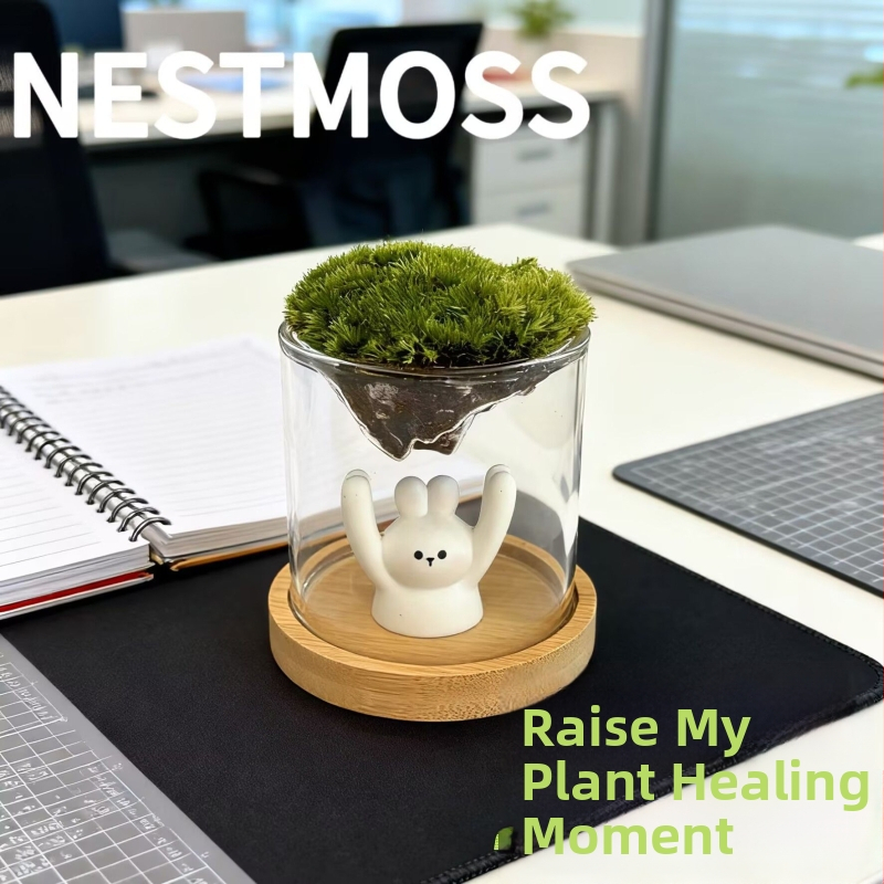 Γυάλινο βάζο με μίνι τοπίο από βρύα για γραφείο, γυαλί υψηλής αντοχής, μάρκα Independent, δώρο επιχειρήσεων