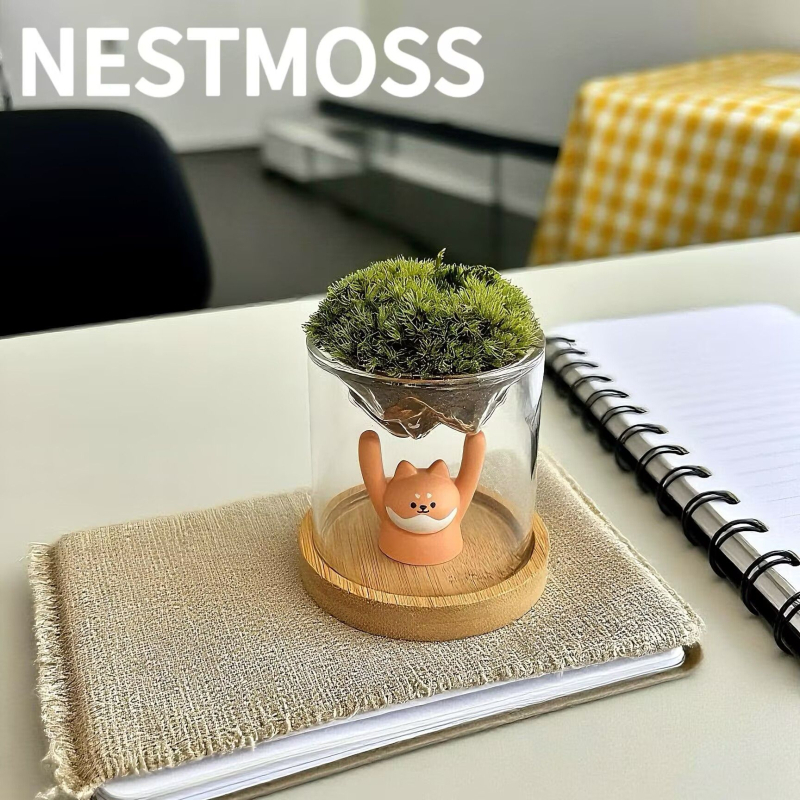 Γυάλινο βάζο με μίνι τοπίο από βρύα για γραφείο, γυαλί υψηλής αντοχής, μάρκα Independent, δώρο επιχειρήσεων