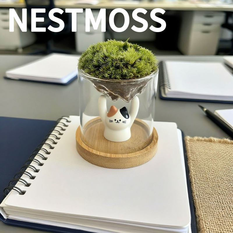 Γυάλινο βάζο με μίνι τοπίο από βρύα για γραφείο, γυαλί υψηλής αντοχής, μάρκα Independent, δώρο επιχειρήσεων