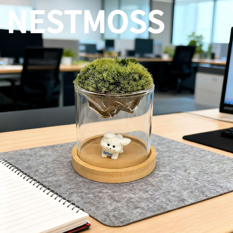 Γυάλινο βάζο με μίνι τοπίο από βρύα για γραφείο, γυαλί υψηλής αντοχής, μάρκα Independent, δώρο επιχειρήσεων