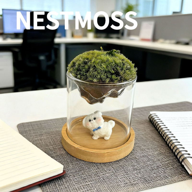 Γυάλινο βάζο με μίνι τοπίο από βρύα για γραφείο, γυαλί υψηλής αντοχής, μάρκα Independent, δώρο επιχειρήσεων