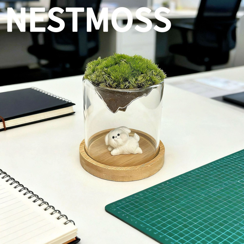 Γυάλινο βάζο με μίνι τοπίο από βρύα για γραφείο, γυαλί υψηλής αντοχής, μάρκα Independent, δώρο επιχειρήσεων