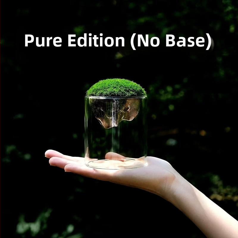 Γυάλινο βάζο με μίνι τοπίο από βρύα για γραφείο, γυαλί υψηλής αντοχής, μάρκα Independent, δώρο επιχειρήσεων