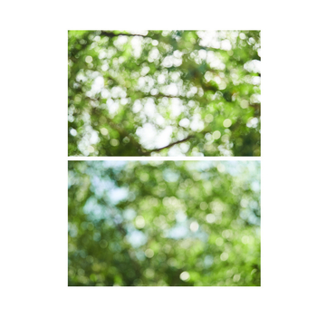 Fundal dublu față 3D cu umbră de copac din hârtie pentru fotografie de mâncare, frumusețe și machiaj cu telefonul mobil