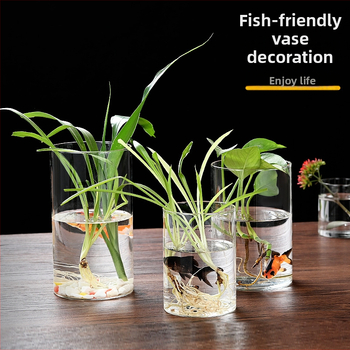 Δοχείο από γυαλί υψηλής αντοχής για υδροπονία, ανθοδέσεις και διαφανές ενυδρείο, χαρτονένια συσκευασία