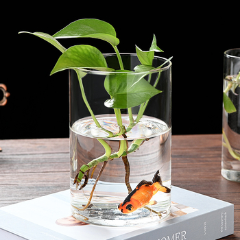 Δοχείο από γυαλί υψηλής αντοχής για υδροπονία, ανθοδέσεις και διαφανές ενυδρείο, χαρτονένια συσκευασία