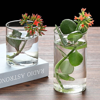 Δοχείο από γυαλί υψηλής αντοχής για υδροπονία, ανθοδέσεις και διαφανές ενυδρείο, χαρτονένια συσκευασία