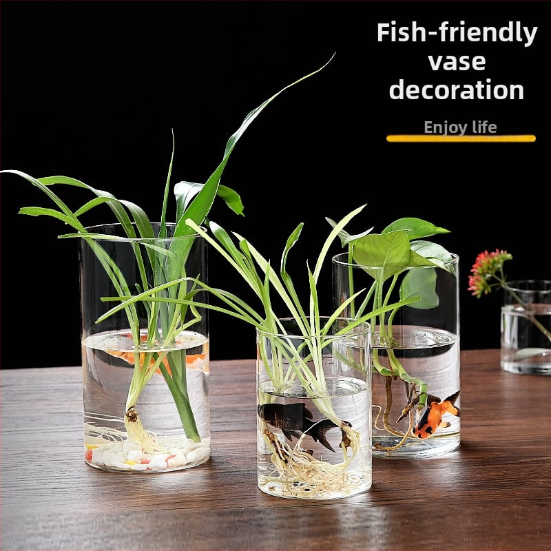 Δοχείο από γυαλί υψηλής αντοχής για υδροπονία, ανθοδέσεις και διαφανές ενυδρείο, χαρτονένια συσκευασία