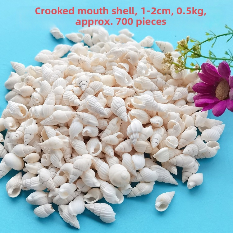 Dekoračné mušle do akvária – prírodné mušle, námorný štýl; spracovanie prirodzené; výrobný proces: bionický; Využitie: rekvizita do fotostudia, obrázky pre akvárium (Materiál: mušle; Štýl: námorný; Spracovanie: prirodzené; Výrobný proces: bionický)