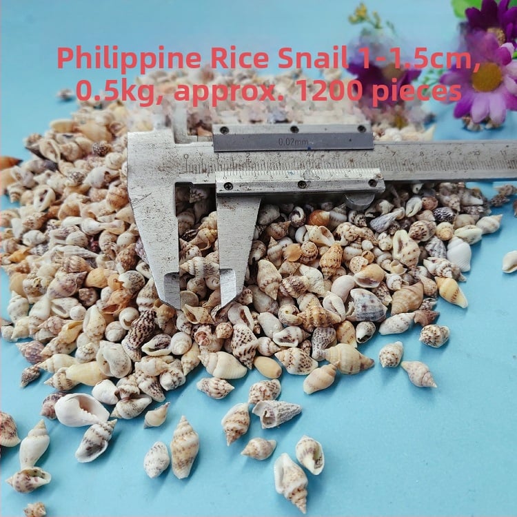 Διάκοσμητικά ενυδρείου από κοχύλια – φυσικά θαλάσσια κοχύλια, ναυτικό στυλ, πλήρως φυσική κατασκευή (Υλικό: Κοχύλι; Στυλ: Ναυτικό; Διαδικασία: Βιονική; Εφαρμογές: αξεσουάρ φωτογραφικών στούντιο, απεικονίσεις ενυδρείου)