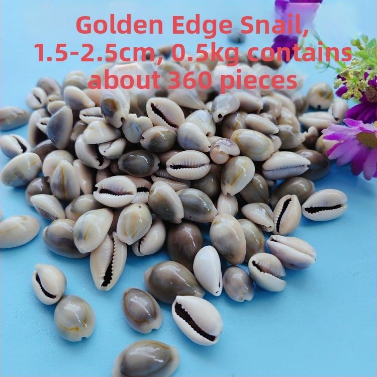 Διάκοσμητικά ενυδρείου από κοχύλια – φυσικά θαλάσσια κοχύλια, ναυτικό στυλ, πλήρως φυσική κατασκευή (Υλικό: Κοχύλι; Στυλ: Ναυτικό; Διαδικασία: Βιονική; Εφαρμογές: αξεσουάρ φωτογραφικών στούντιο, απεικονίσεις ενυδρείου)