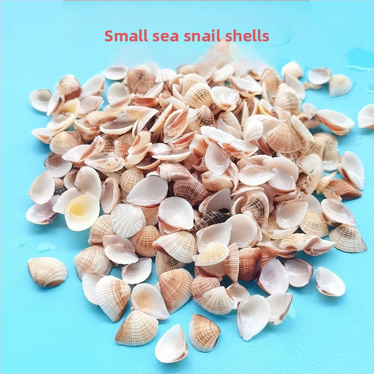 Διάκοσμητικά ενυδρείου από κοχύλια – φυσικά θαλάσσια κοχύλια, ναυτικό στυλ, πλήρως φυσική κατασκευή (Υλικό: Κοχύλι; Στυλ: Ναυτικό; Διαδικασία: Βιονική; Εφαρμογές: αξεσουάρ φωτογραφικών στούντιο, απεικονίσεις ενυδρείου)