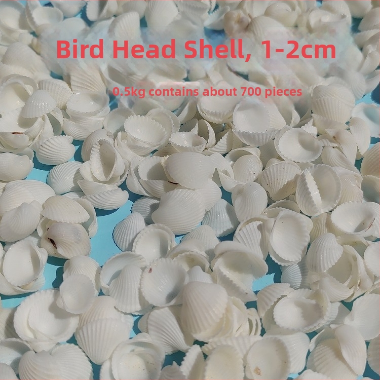 Διάκοσμητικά ενυδρείου από κοχύλια – φυσικά θαλάσσια κοχύλια, ναυτικό στυλ, πλήρως φυσική κατασκευή (Υλικό: Κοχύλι; Στυλ: Ναυτικό; Διαδικασία: Βιονική; Εφαρμογές: αξεσουάρ φωτογραφικών στούντιο, απεικονίσεις ενυδρείου)