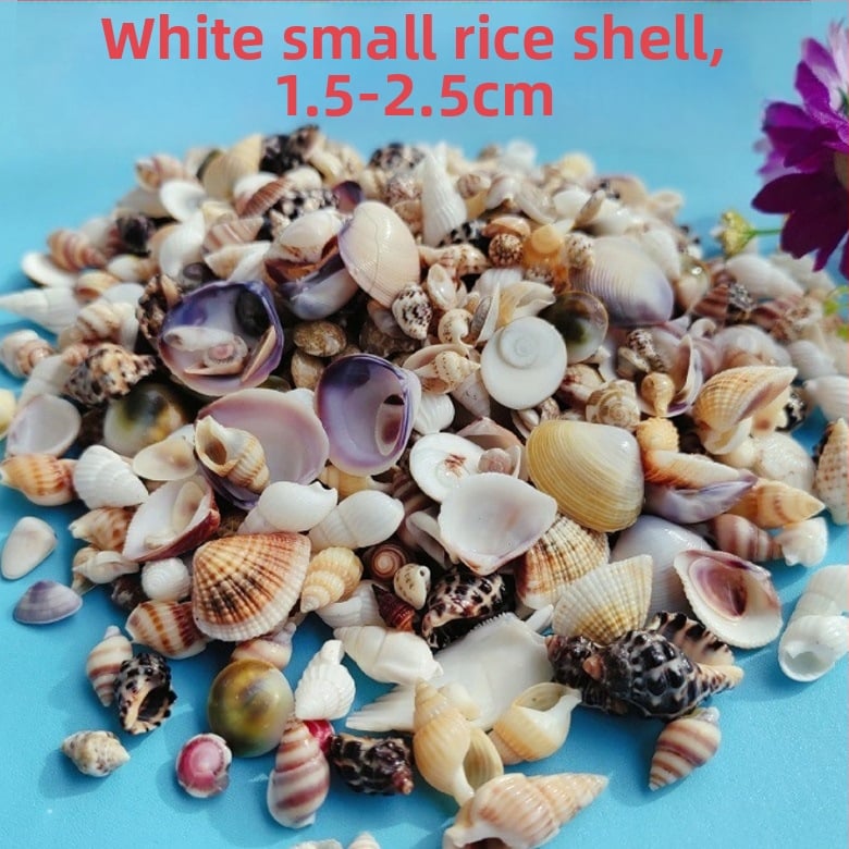 Διάκοσμητικά ενυδρείου από κοχύλια – φυσικά θαλάσσια κοχύλια, ναυτικό στυλ, πλήρως φυσική κατασκευή (Υλικό: Κοχύλι; Στυλ: Ναυτικό; Διαδικασία: Βιονική; Εφαρμογές: αξεσουάρ φωτογραφικών στούντιο, απεικονίσεις ενυδρείου)