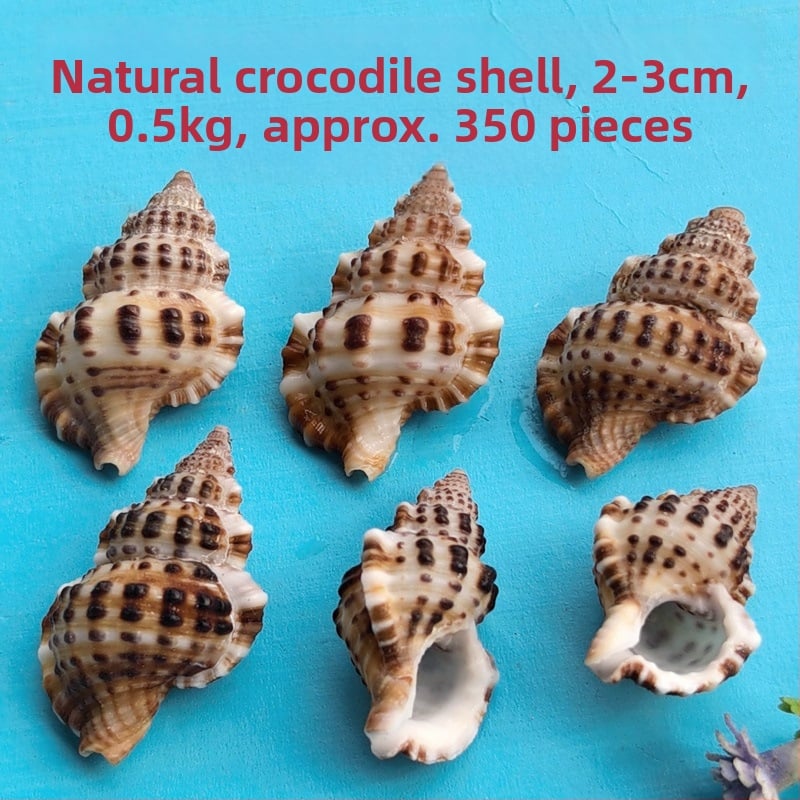 Διάκοσμητικά ενυδρείου από κοχύλια – φυσικά θαλάσσια κοχύλια, ναυτικό στυλ, πλήρως φυσική κατασκευή (Υλικό: Κοχύλι; Στυλ: Ναυτικό; Διαδικασία: Βιονική; Εφαρμογές: αξεσουάρ φωτογραφικών στούντιο, απεικονίσεις ενυδρείου)