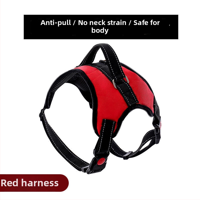 Nylon kutyahám és nyolcszálú póráz