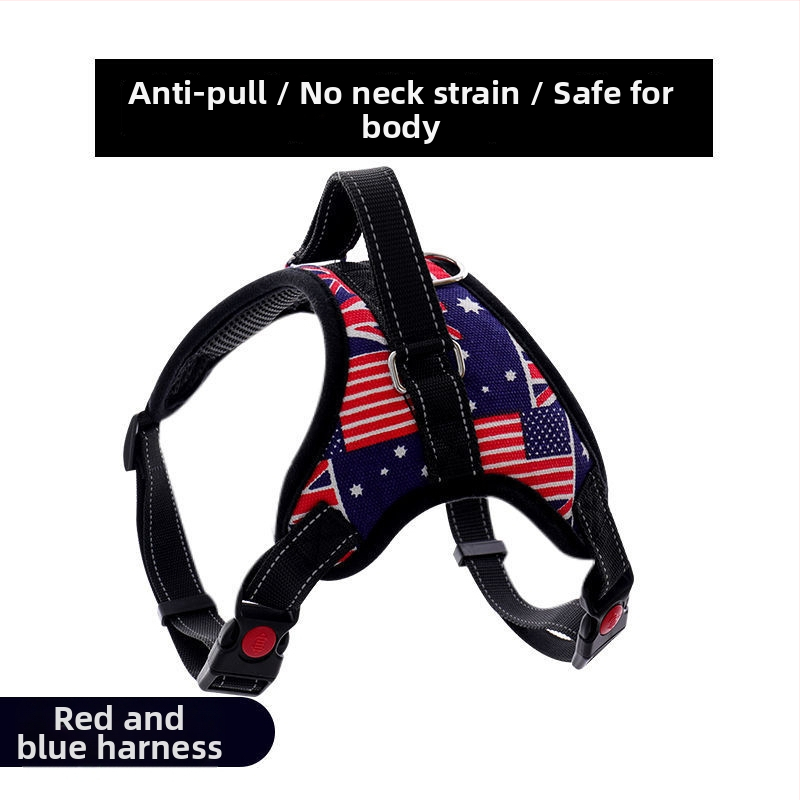 Nylon kutyahám és nyolcszálú póráz