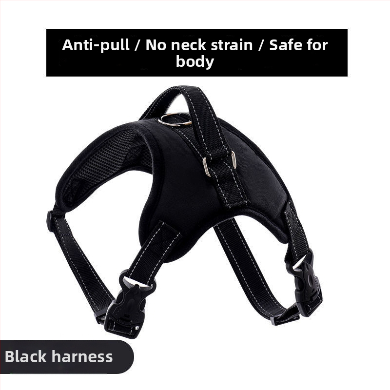 Nylon kutyahám és nyolcszálú póráz