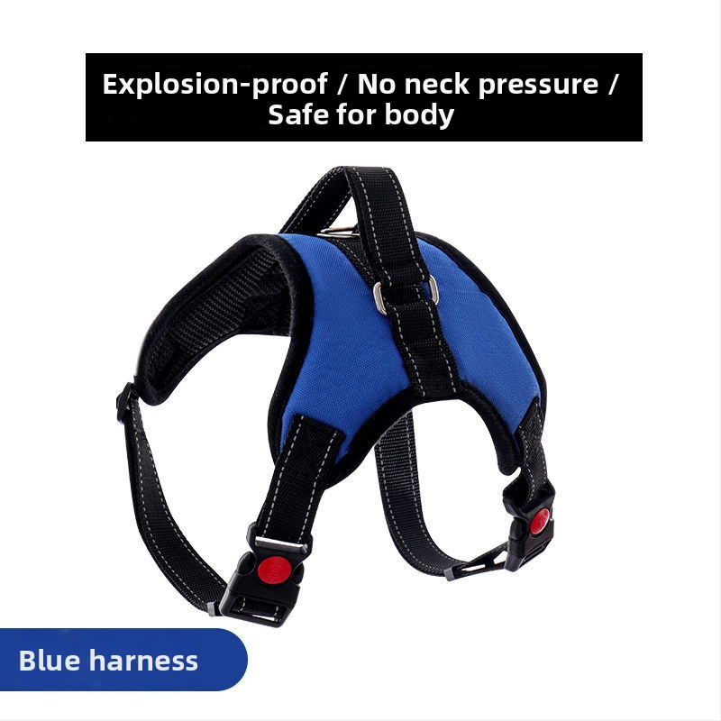 Nylon kutyahám és nyolcszálú póráz