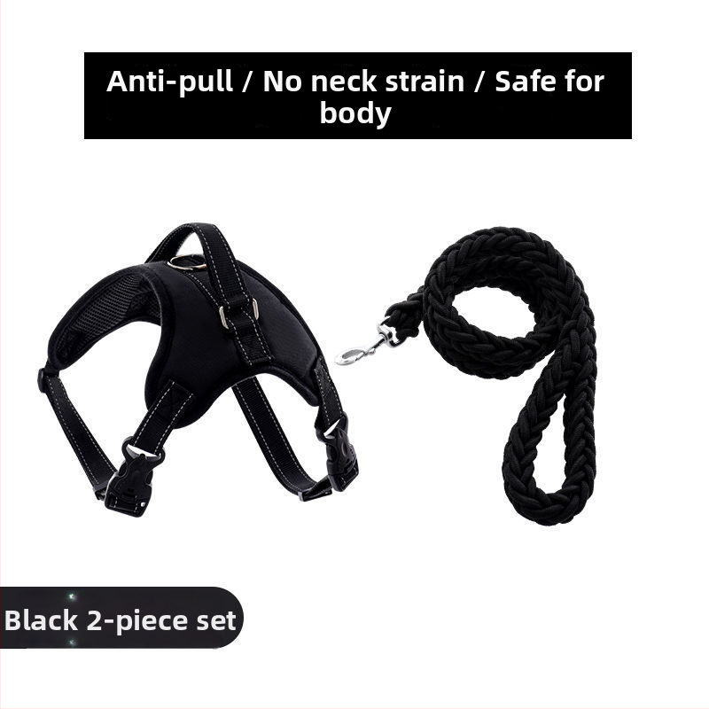 Nylon kutyahám és nyolcszálú póráz