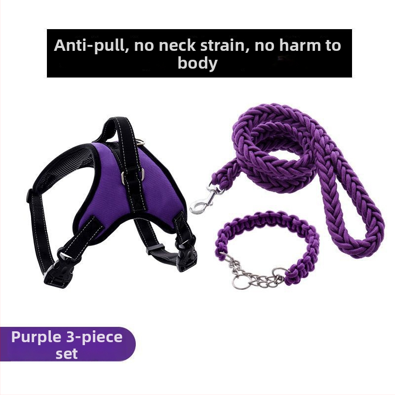 Nylon kutyahám és nyolcszálú póráz