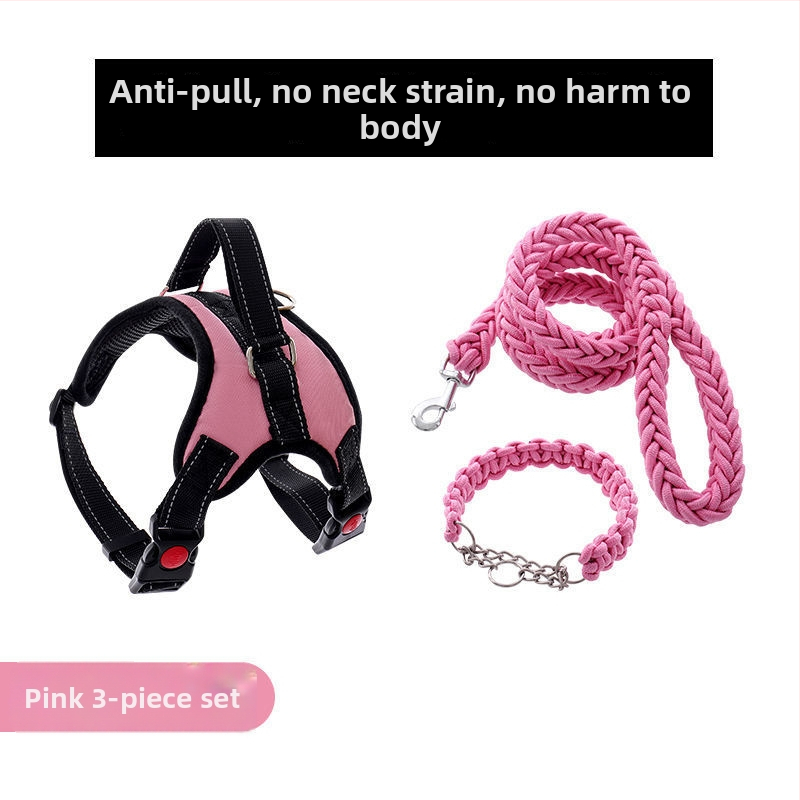 Nylon kutyahám és nyolcszálú póráz