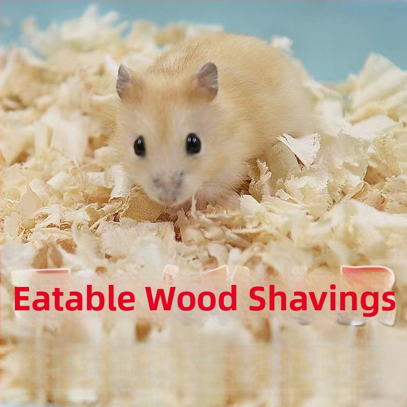 Pachet pentru hamster: Kit complet de alimente și gustări pentru începători | Hrană pentru animale de companie, Brand: Altul, Fără import