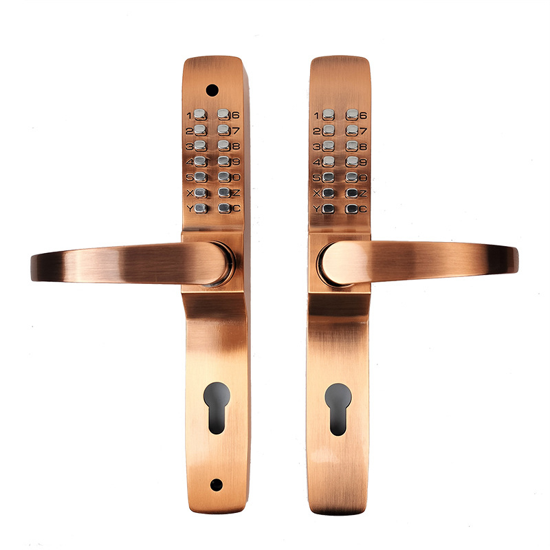 Rain Solid alumínium ötvözet ajtó mechanikus zárbetéttel, OL4053, udvari ajtókhoz és üreges/díszkapukhoz; nyitás kulcs vagy jelszó