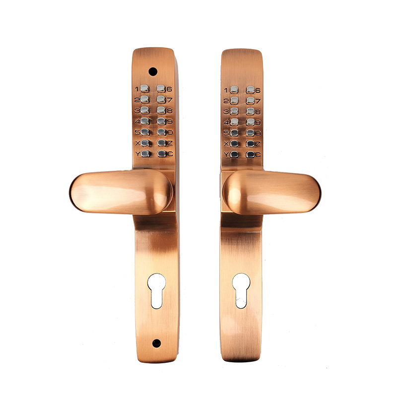 Rain Solid alumínium ötvözet ajtó mechanikus zárbetéttel, OL4053, udvari ajtókhoz és üreges/díszkapukhoz; nyitás kulcs vagy jelszó