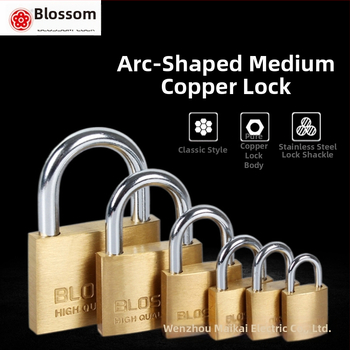 Plum Blossom Lock BC075 domáci visiaci zámok z meďného zliatiny, oblúkového tvaru – vhodný pre skrinky, zásuvky, dvere a internáty