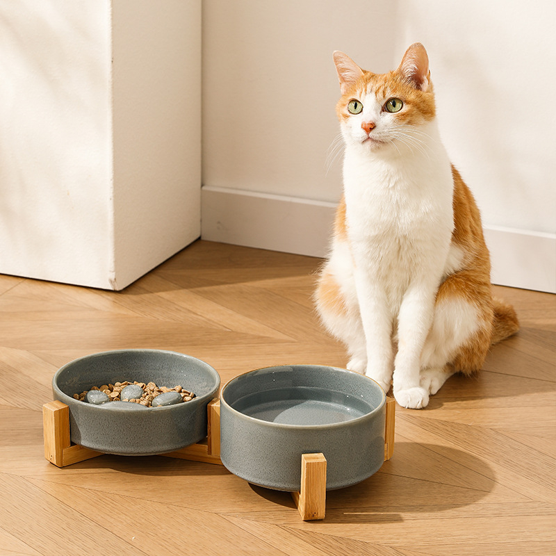 Κεραμικά μπολ κατοικίδιων για γάτες και σκύλους, ιαπωνικού στυλ, ψημένα σε καμίνι, διπλά μπολ με σύστημα αργής πρόσληψης, αντι-πνιγμού και αντι-διαρροών