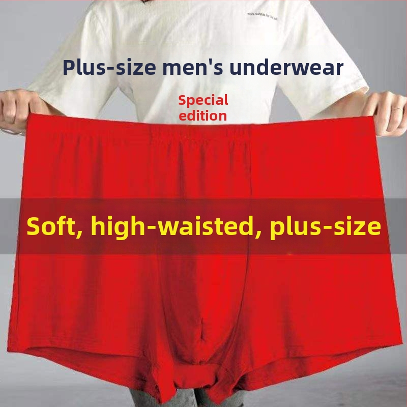 Pánske spodné nohavice: dlhé nohavice s rovným strihom, ovčia fleecová látka, stredná elasticita, jar 2024