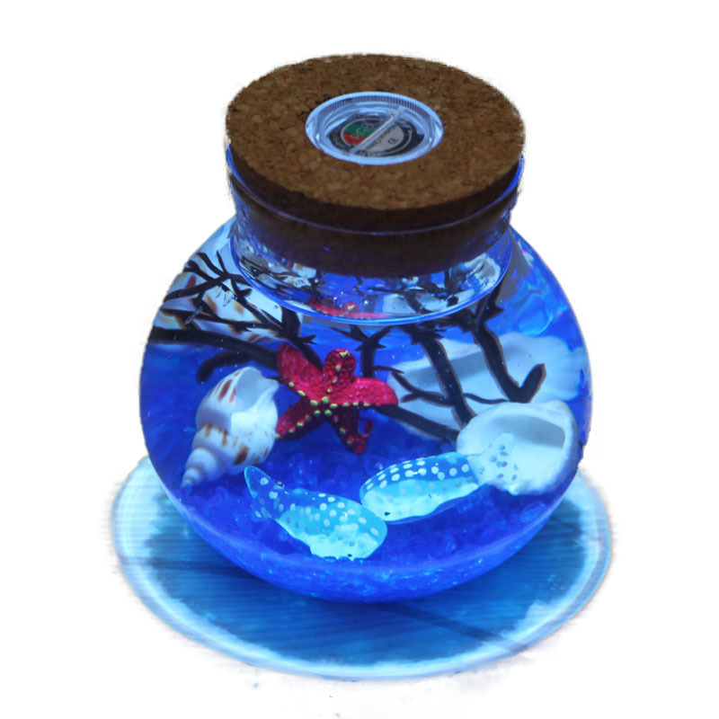 Kit DIY pentru peisaj submarin într-o sticlă din borosilicat înalt, cu LED-uri – design geometric, turnare prin suflare, suprafață lustruită