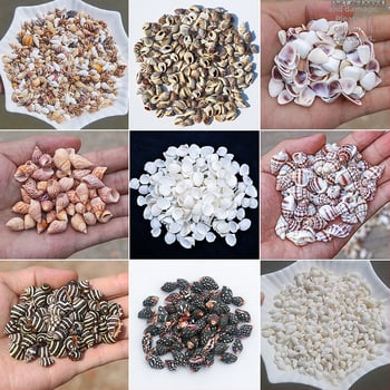 Μίνι φιάλη με κοχύλι θαλάσσιου σαλιού - φυσικό υλικό, χειροποίητο μικροτοπίο διακόσμησης, μεσογειακό στυλ (Υλικό: Κέλυφος, Θαλάσσιο Σαλιγκάρι; Κατασκευή: Φυσική; Κωδικός Προϊόντος: Mini Small Sea Snail)