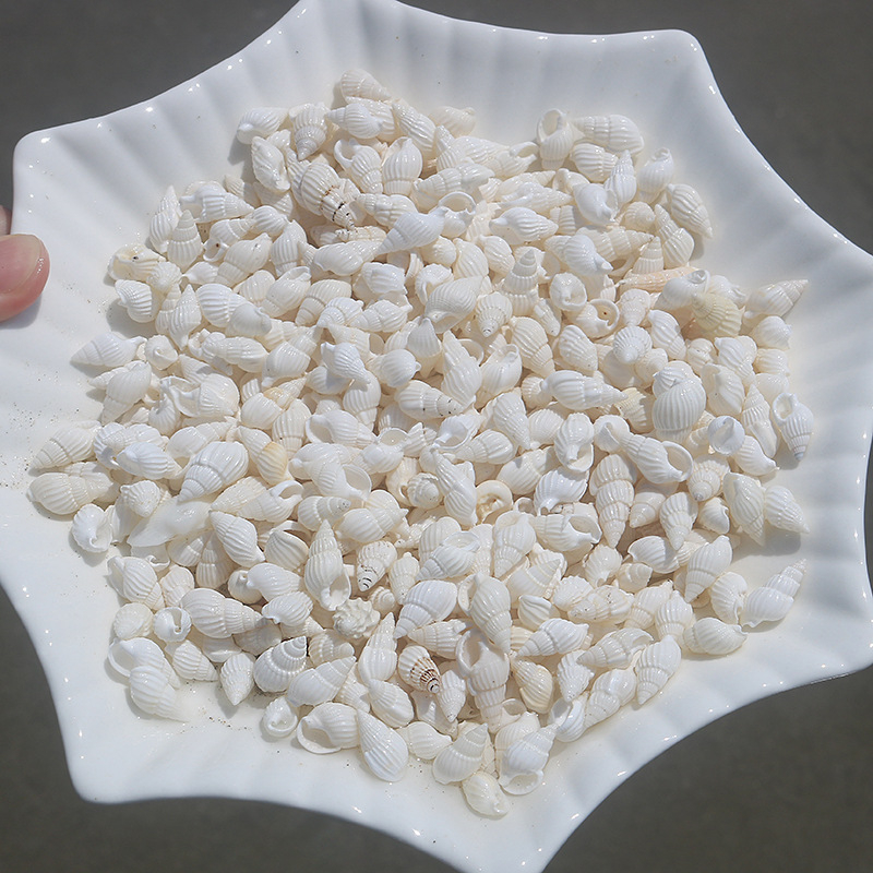 Μίνι φιάλη με κοχύλι θαλάσσιου σαλιού - φυσικό υλικό, χειροποίητο μικροτοπίο διακόσμησης, μεσογειακό στυλ (Υλικό: Κέλυφος, Θαλάσσιο Σαλιγκάρι; Κατασκευή: Φυσική; Κωδικός Προϊόντος: Mini Small Sea Snail)