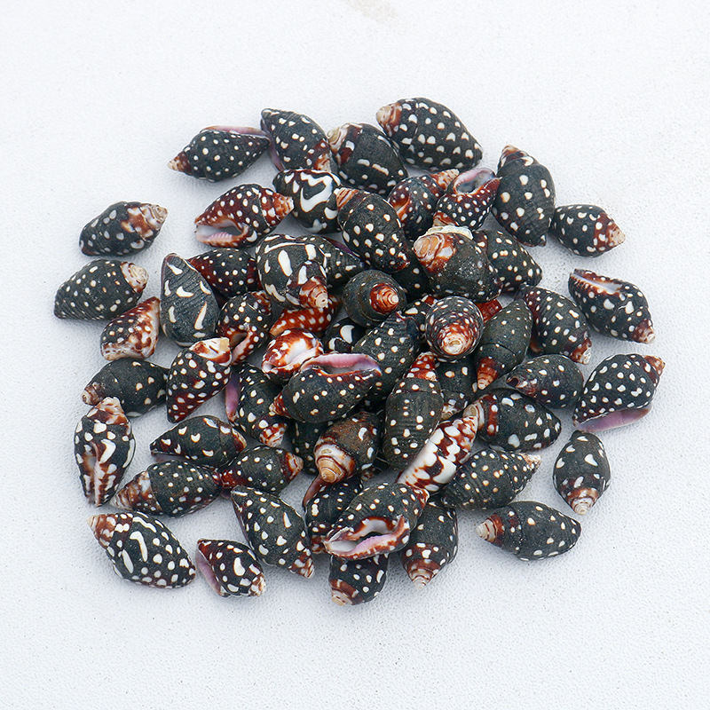 Μίνι φιάλη με κοχύλι θαλάσσιου σαλιού - φυσικό υλικό, χειροποίητο μικροτοπίο διακόσμησης, μεσογειακό στυλ (Υλικό: Κέλυφος, Θαλάσσιο Σαλιγκάρι; Κατασκευή: Φυσική; Κωδικός Προϊόντος: Mini Small Sea Snail)