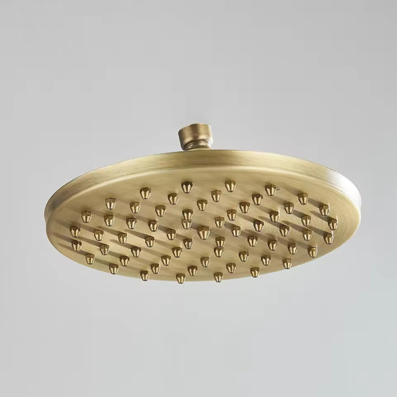 Sprchová hlavica z nehrdzavejúcej ocele s horným postrekom, model 8808, závitový montážny systém