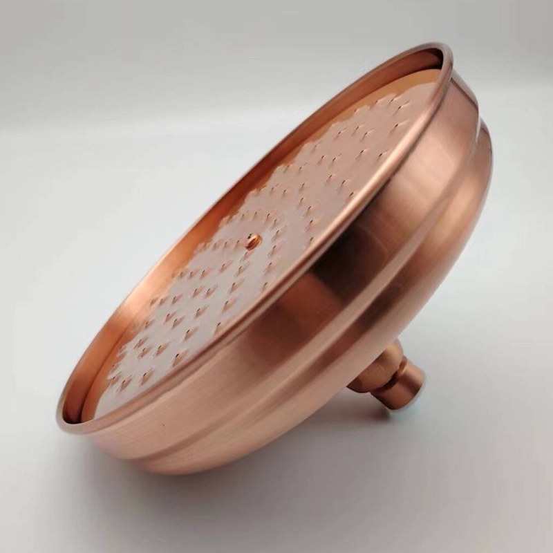 Sprchová hlavica z nehrdzavejúcej ocele s horným postrekom, model 8808, závitový montážny systém