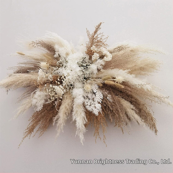 Сушени цветя – реквизит за фотография в INS стил, марка Brightness, разновидност 3332590, материал: сушени цветя, процес: Друг, използване: сватба/на открито/реквизит за снимки