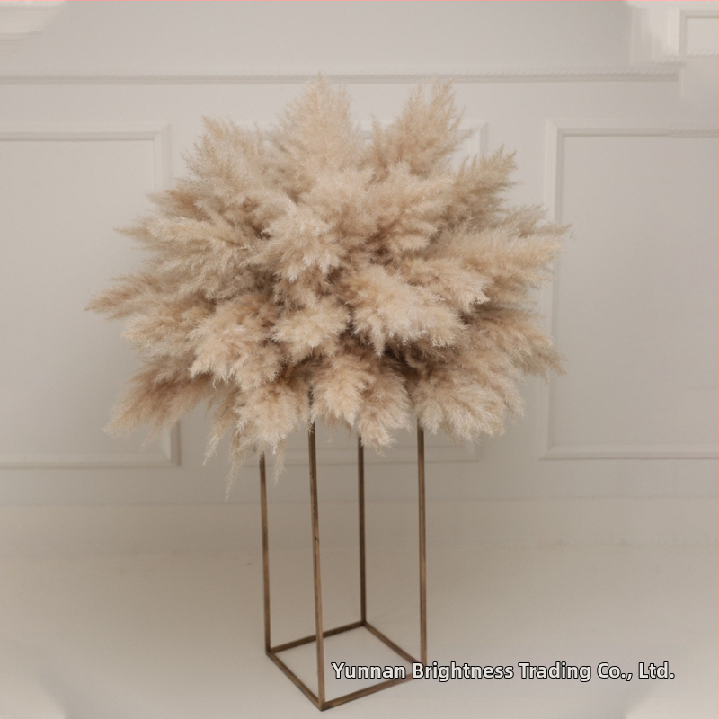 Сушени цветя – реквизит за фотография в INS стил, марка Brightness, разновидност 3332590, материал: сушени цветя, процес: Друг, използване: сватба/на открито/реквизит за снимки