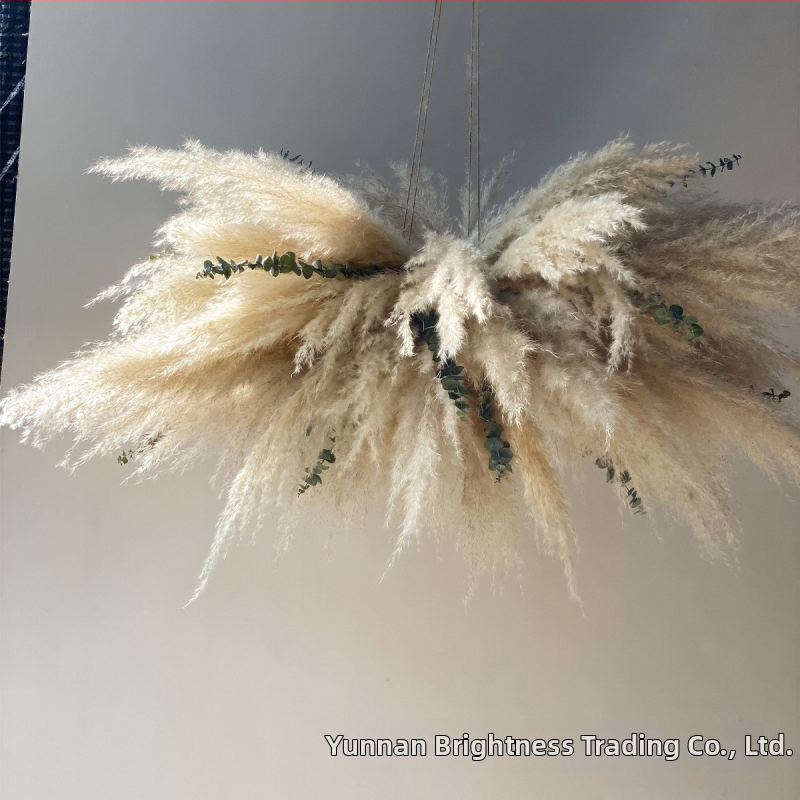 Сушени цветя – реквизит за фотография в INS стил, марка Brightness, разновидност 3332590, материал: сушени цветя, процес: Друг, използване: сватба/на открито/реквизит за снимки