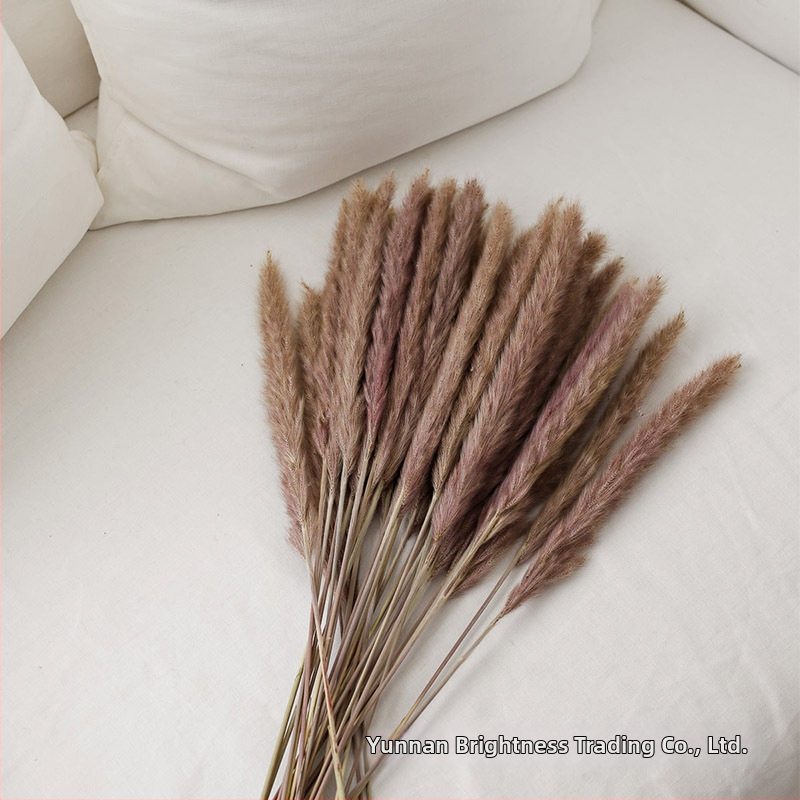 Сушени цветя – реквизит за фотография в INS стил, марка Brightness, разновидност 3332590, материал: сушени цветя, процес: Друг, използване: сватба/на открито/реквизит за снимки