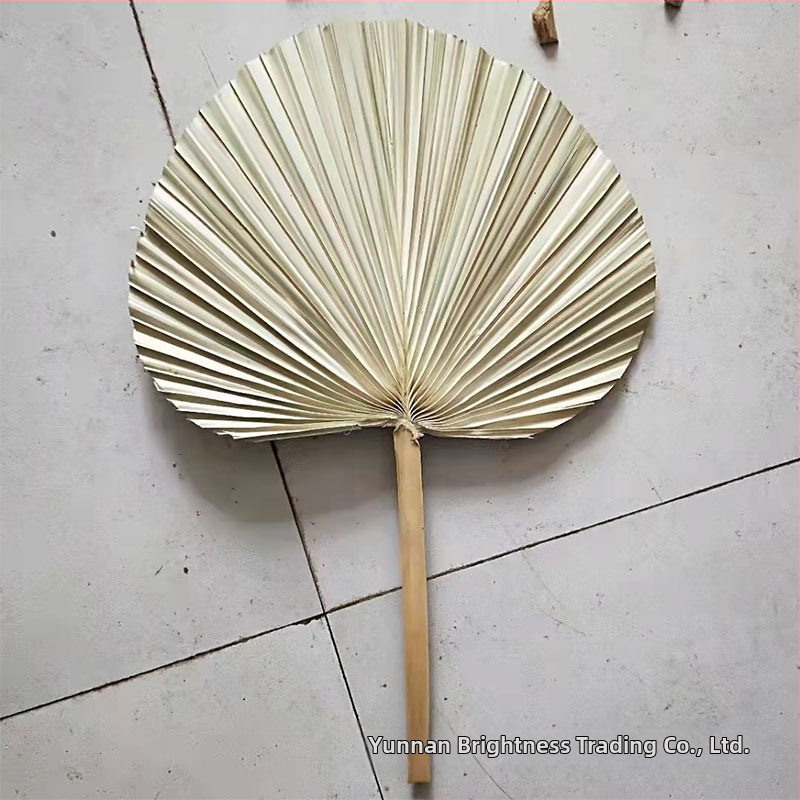 Сушени цветя – реквизит за фотография в INS стил, марка Brightness, разновидност 3332590, материал: сушени цветя, процес: Друг, използване: сватба/на открито/реквизит за снимки