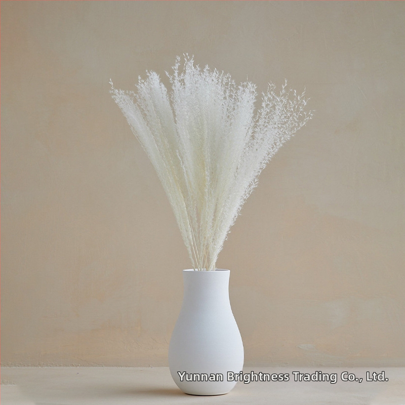 Сушени цветя – реквизит за фотография в INS стил, марка Brightness, разновидност 3332590, материал: сушени цветя, процес: Друг, използване: сватба/на открито/реквизит за снимки