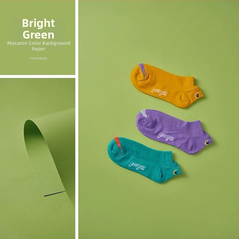 Szakmai fotóháttérpapír Still Life fotózáshoz karton hátlappal (készleten)