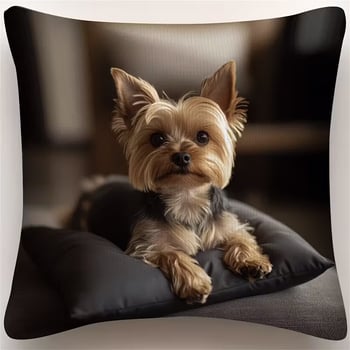  Οι πιο δημοφιλείς μαξιλαροθήκες για γάτες, χαριτωμένα και αξιολάτρευτα μαξιλάρια ζώων, διακόσμηση καναπέ υπνοδωματίου, χονδρική πώληση