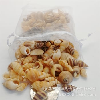 Трансгранични горещи продажби - 50 г естествени миди и просо охлюви „Направи си сам“ бутилка за дрифт, материал за океански бутилки, декорация на аквариум